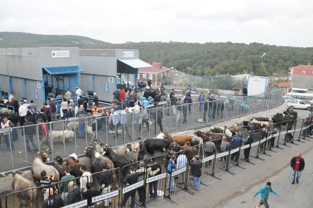 Beykoz’da Bayramın 1. günü nasıl geçti? 1 kurb WmqRXnZEzI