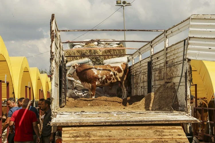 Beykoz Kurbankent’te satışlar başladı 2 kurban 2 z WhZephYO