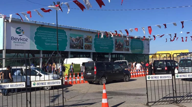 Beykoz'da 3500 büyükbaş kurban satıldı 2