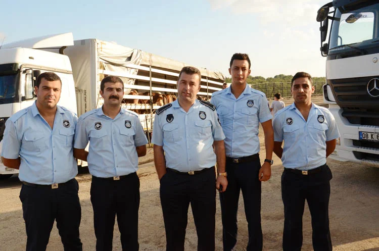 Kurbanlıklar Beykoz’a geldi… Fiyatlar yüksek 3 kurban kent 16 12 SkW WRfzyZ