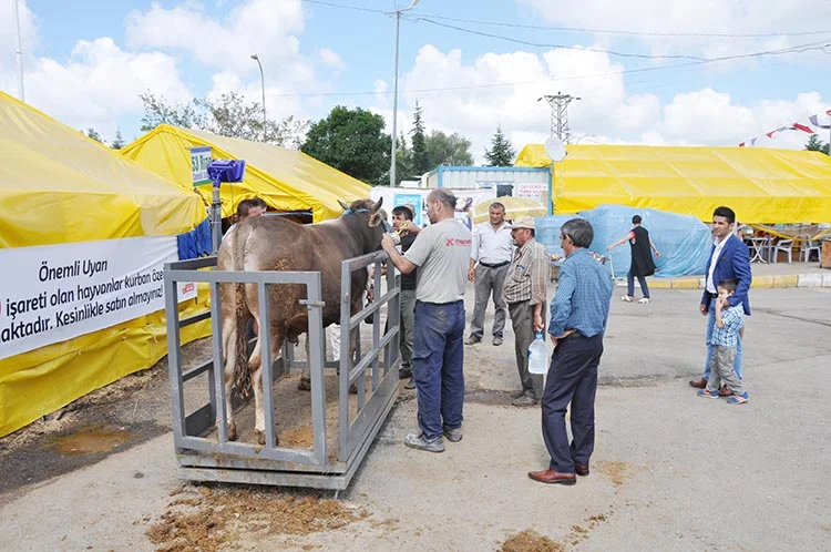 Beykoz Kurban Kent’te 28 Ağustos’ta satışlar başlıyor 4 kurban kent 2016 3 VmtdJqRNy1