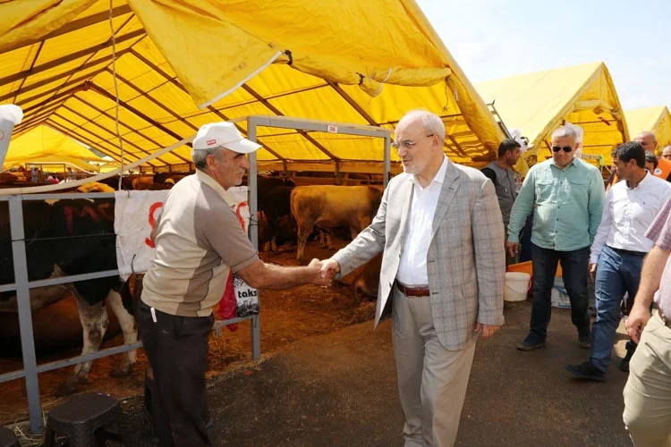 Beykoz Kaymakamı Katırcı ve Çelikbilek Kurban Kent'i inceledi 2 kurban kent ziyaret 4 CmKnjAGZoH