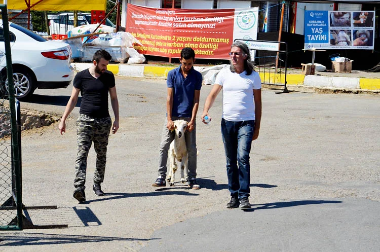 Beykoz'da kurban sezonu sona erdi 1