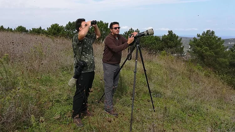 Beykoz semalarından süzülerek göç ediyorlar 3
