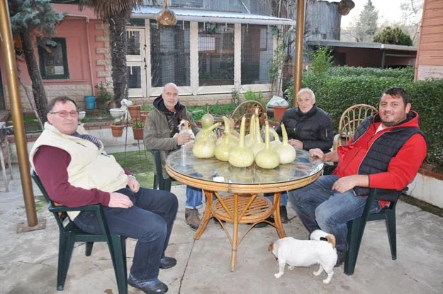 O, Beykoz'un madalya zengini abisi 2 kuscu hakan db 15 nwfqDuyJzh