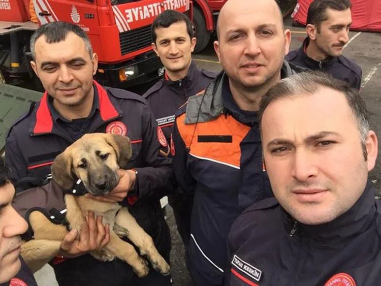 İyilik, Beykoz’dan beyaz perdeye yansıyacak 3