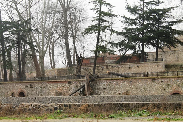 lodos beykoz da etki lbdZ5Xc0tq