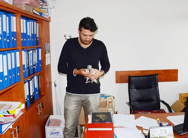 Yavru martı Beykoz’da emin ellere teslim edildi 1 mar 08caGiOP9p