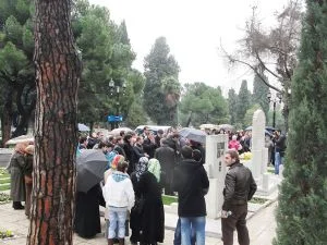 millimans tVpNZSim9E