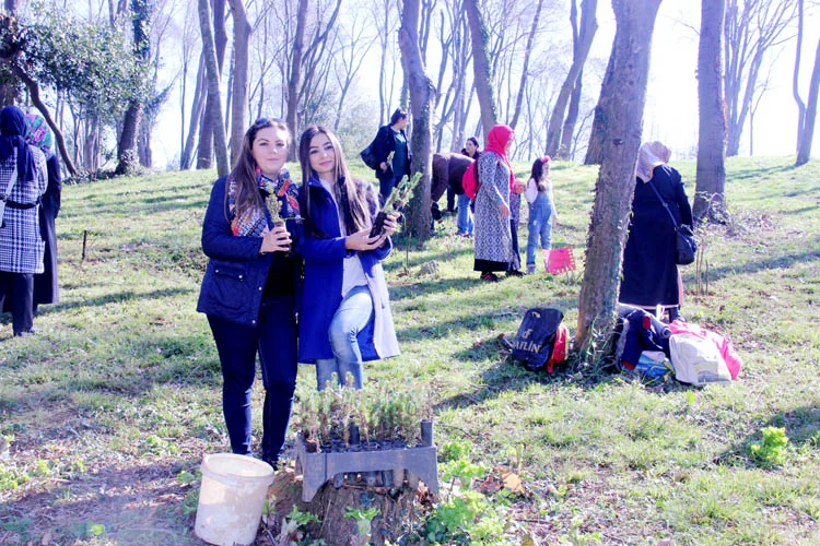 Beykozlu minik öğrencilerin orman sevgisi 2 minik orman 4 omchXqP5fz