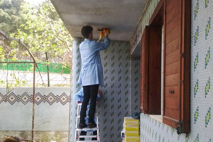 Beykoz’da lise öğrencileri bakın ne yaptı? 2 okul 14 Edz8k57XE