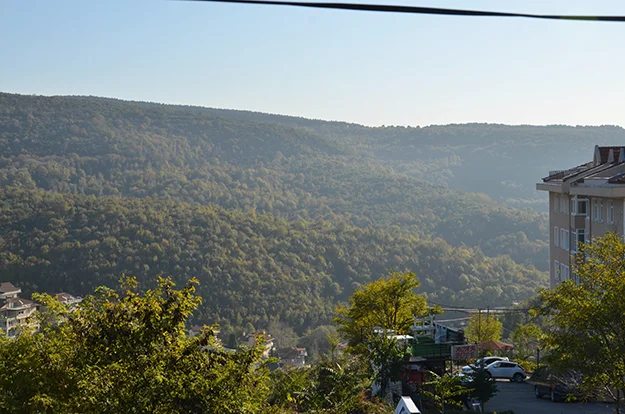 orman beyk BUUX Ft6ZD