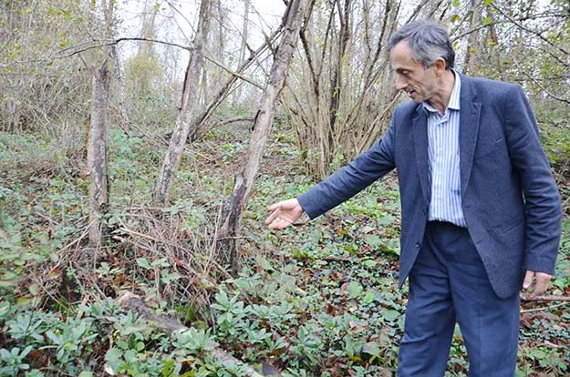 Beykoz'un köylüsü çıldırmak üzere! 4 orman beyk JPHHVaCVXf