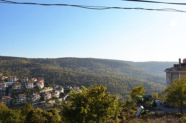 orman beyk LNcQ2tvA8h