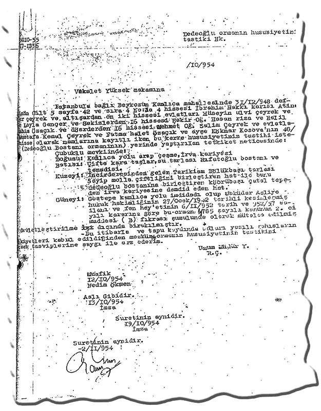 orman beykoz be klyItvU6S