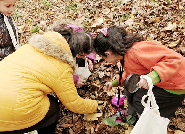 Orman Kaşifleri görev başında! 1