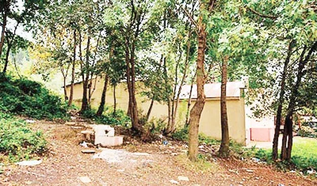 Orman İdaresi Göksu'daki araziyi istiyor 2 orman manset 2 6pPtLJt47l