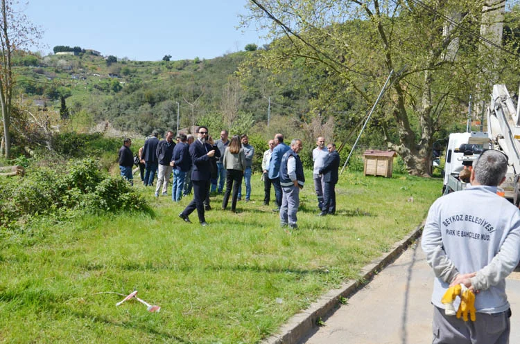 Emir Beykoz’da demir değil ağaç kesiyor 3 ormantalanbocek 8 NXAYBUg1sD