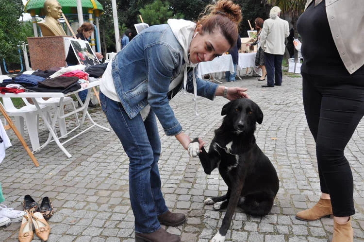 Patika'dan Beykoz'da hayvanlara yardım kermesi 1 patika dan beykoz da hayvanlara yardim kermesi 8 Oot 4n8bz