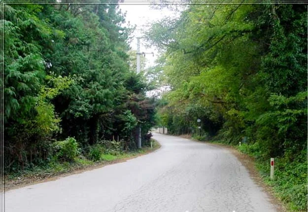 Bilirkişi Heyeti'nden Polonezköy’e olumsuz rapor 4 pol 1 RcwSSyAkaU
