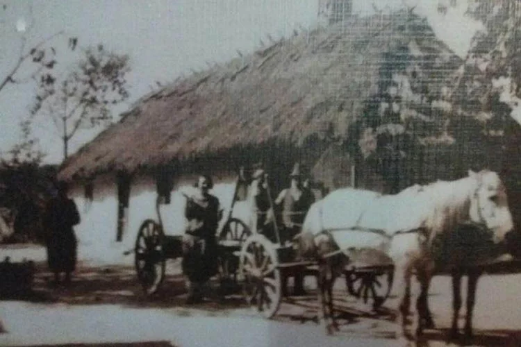 Beykoz'un Polonyalı muhtarı sert konuştu 5