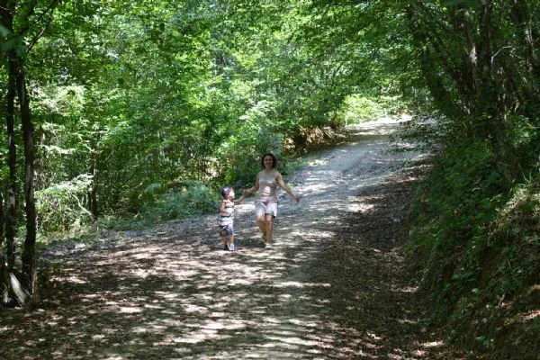 Bilirkişi Heyeti'nden Polonezköy’e olumsuz rapor 2 polone 3HWuu4Ce