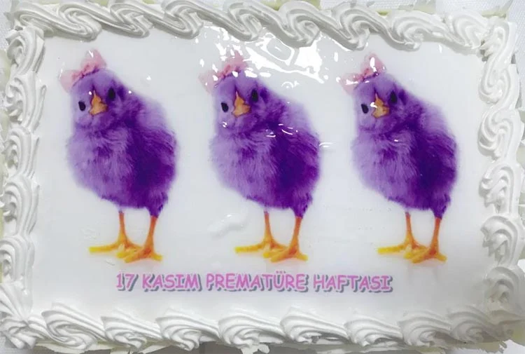 Beykoz Devlet Hastanesi'nde Dünya prematüre günü 4