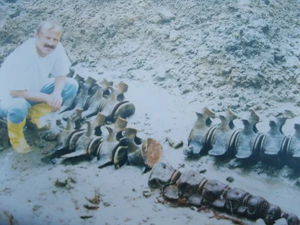 prof huseyin ozturk dostbeyk PRXoFHwAn