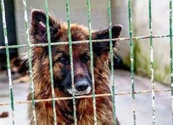 Beykoz'un şanına şan kattılar 4 resim 2 Mp79Ol2e7t