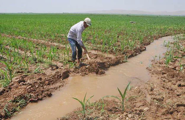 sulama beyk HSrb8eW1 v