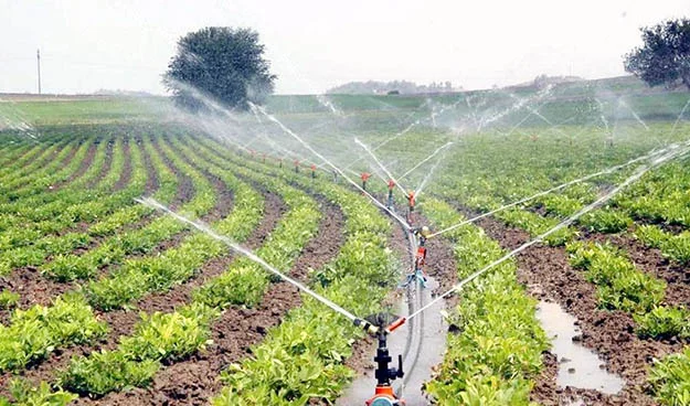 sulama beyk OVmauhgUlu