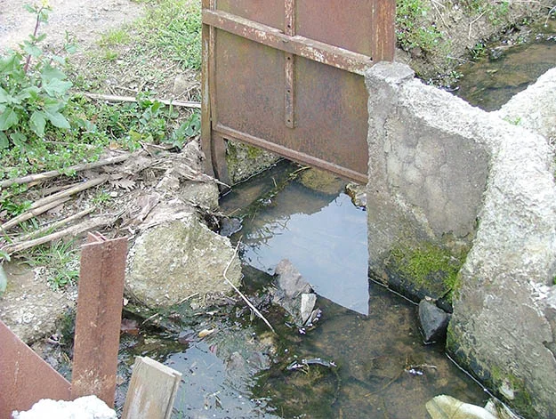 sulama beyk RVu8VpoCY9