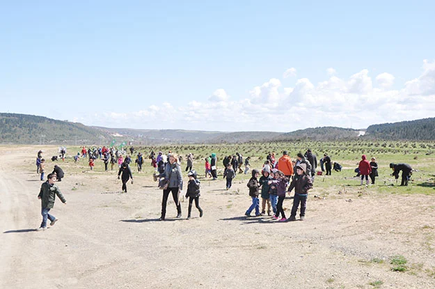 tegev beyk 3BBJr6Bb 8