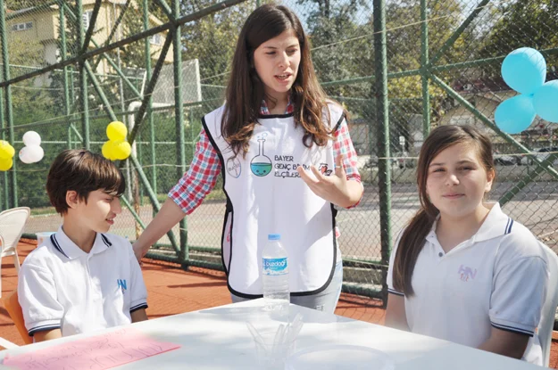 tigev db 17 MHkgg7ewTd