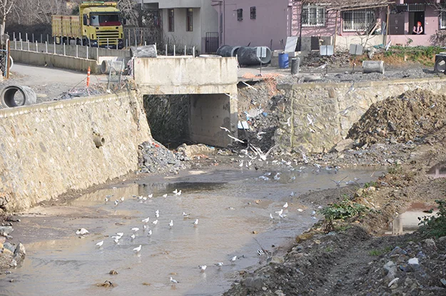 tokat secili 13 gpZv3BVOZu