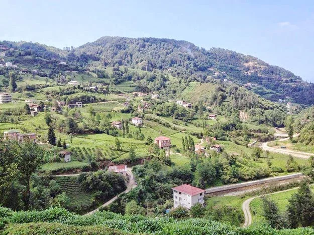 trabzon beyko u0TSEmTcOI