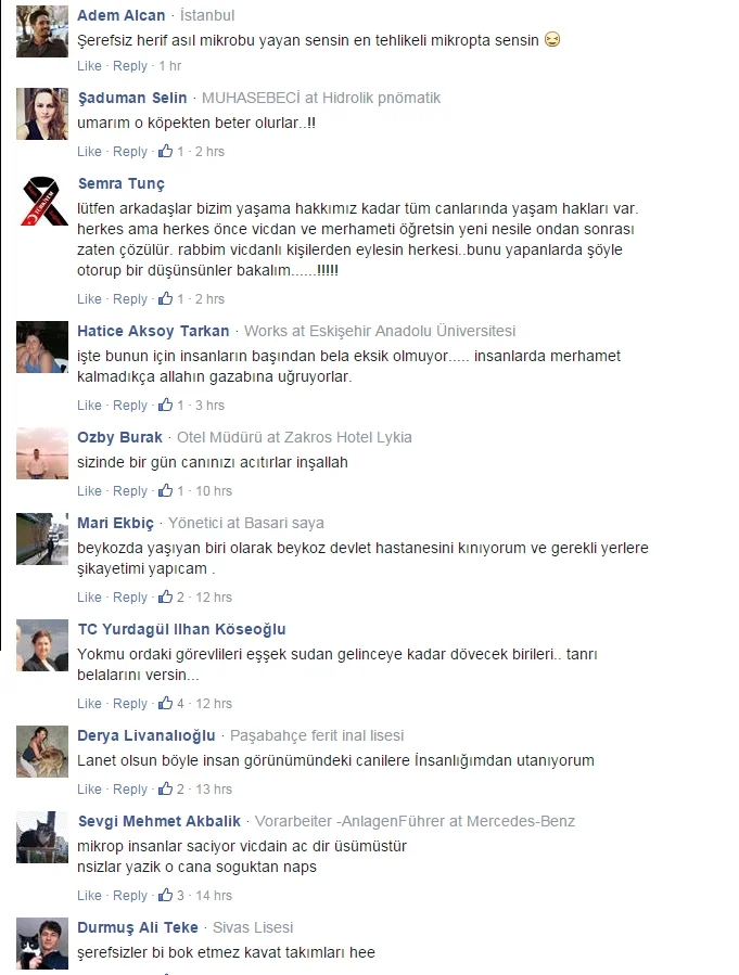 Sözde hayvan severlerin acil servis istismarı 5 yor N28ewdW LZ