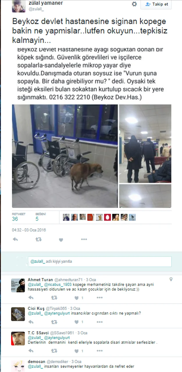 Sözde hayvan severlerin acil servis istismarı 4 yorum 2 8F5iO3ZEqZ