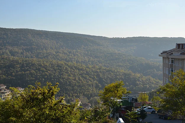 yuksel oz awCVPtLyKW