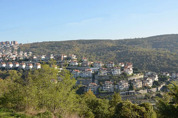 yuksel oz mAIgMoIGiv