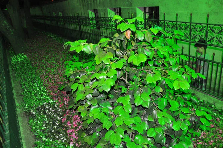 Beykoz Yuşa Camii'nde teravih huzuru 1 yusa secili db 5 tH ZArnAz1