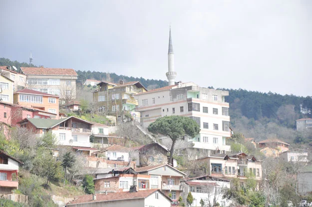 zulal rafe ZMnvpfer4o