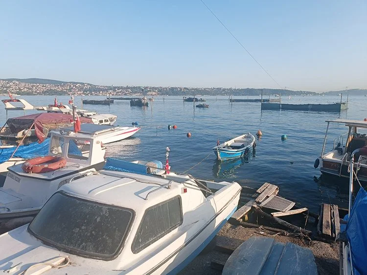 Dalyan Beykoz sahillerinde yeniden kuruldu 2 beykoz dalyan 1 iZKAplFu1k