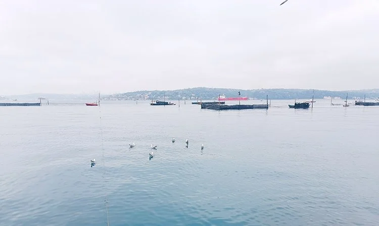 Dalyan Beykoz sahillerinde yeniden kuruldu 5 beykoz dalyan 4 MQ tb54Bct