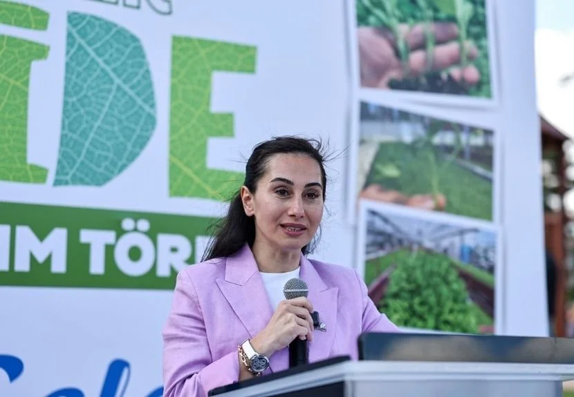 Beykoz Belediyesi’nden üreticiye 1 milyondan fazla fide 1 fide140 9MGZysNiHT