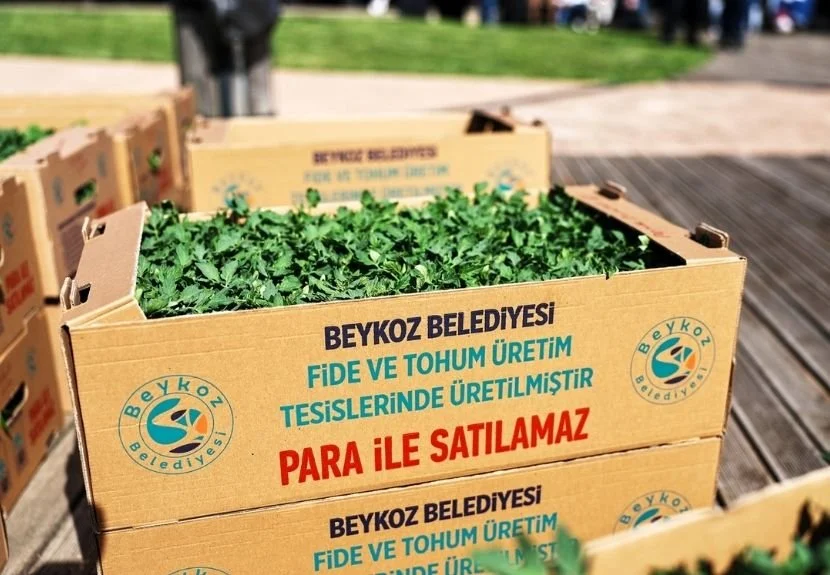 Beykoz Belediyesi’nden üreticiye 1 milyondan fazla fide 7 fide140 rCT TdbF5N