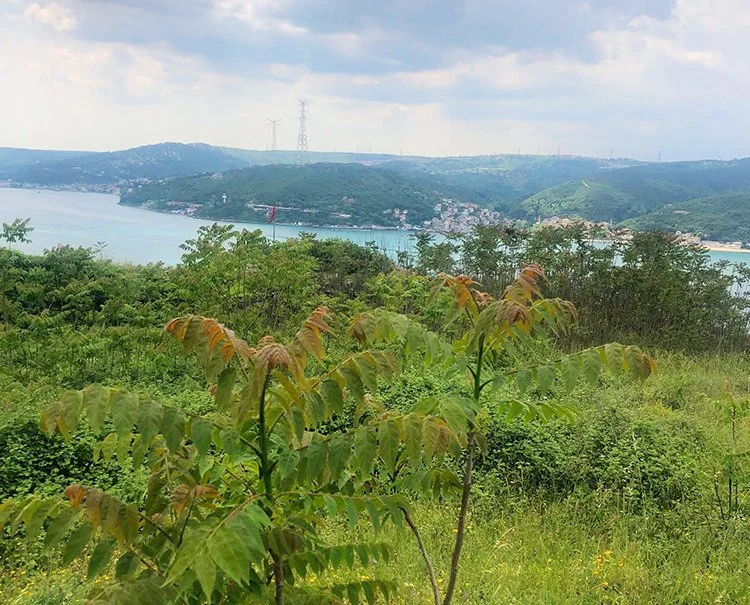 Beykoz’un önemli rotası Anadolukavağı hareketlendi 5 kavak 8 XjdU5zNd9
