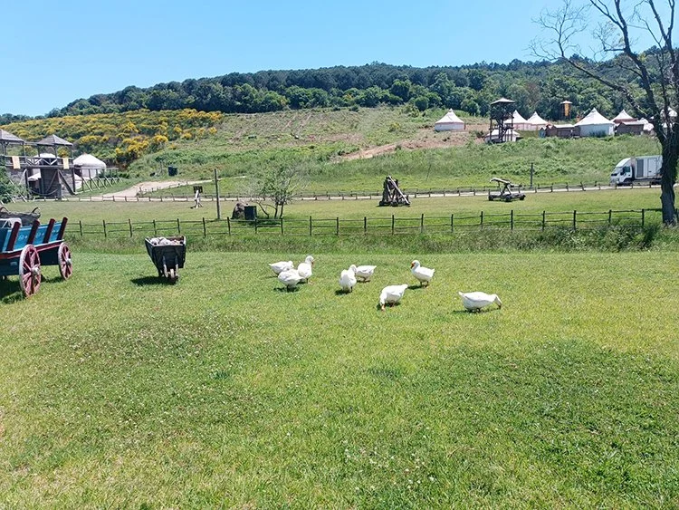 Kuruluş Osman Seti Beykoz’da Bozdağ Film Platolarında ziyaretçilere açık 1 kurulus osman beykoz 3 CqfXtUzDfZ