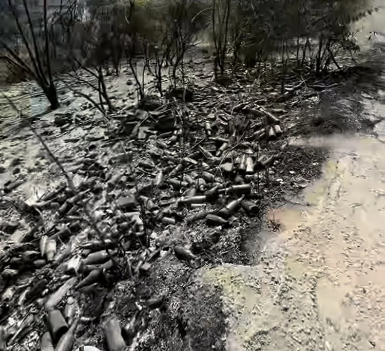 Fotoğraflarda ülke düşmanlarından arta kalanları görüyorsunuz 1 muharrem 2 S3c9v3ozw1