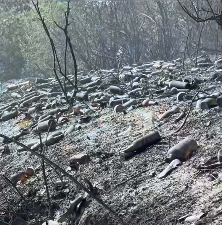 Fotoğraflarda ülke düşmanlarından arta kalanları görüyorsunuz 2 muharrem 3 jUu6goaI29